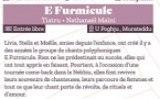 Théâtre : "E Furmicule", mise en scène par Nathanaël Maïni - U Poghju, Murateddu - Portivechju
