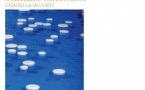 Exposition du FRAC CORSICA "Clinamen" Céleste Boursier-Mougenot - A Cisterna - Corti