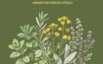 Atelier « Créer un herbier sauvage » animé par Cencio Attelli - Mediateca - A Bastilicaccia