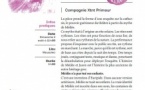 28es Rencontres Internationales de Théâtre en Corse avec L'Aria /"Primour, antidote Médée" par la Cie Xtnt Primour - U Musuleu 