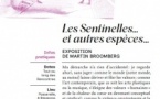 28es Rencontres Internationales de Théâtre en Corse avec L'Aria /Exposition "Les Sentinelles… et autres espèces…" de Martin Broomberg - Passerelle A Stazzona - Poghjula 