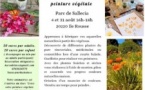 Atelier de fabrication de peinture végétale en plein air animé par Hélène Chevallier  - Parc de Saleccia - L'Isula