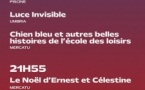 Festival du Film de Lama / Projection de "La vie d'une femme", "Luce Invisible", "Chien bleu et autres belles histoires de l'école des loisirs" et "Le Noël d'Ernest et Célestine"- Lama