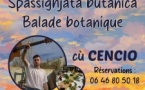 Fiera di a Bocca à u Pratu / Balade botanique - À la découverte des plantes - U Quarcitellu
