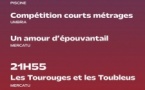 Festival du Film de Lama / Projection de "La bola negra", Compétition courts métrages "Un amour d'épouvantail" et "Les Tourouges et les Toubleus"- Lama