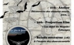 La nuit des chauves souris : Ateliers, projection de films, échanges et balade - Moulin de la Chjaspula - A Sarra di Scupamena 