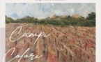 Exposition "Campi Colori" de Sophie Pollini - Espace contemporain Orenga de Gaffory - Patrimoniu 