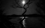 Exposition "Ombres et lumières" de la photographe Laurie - Bibliothèque - Ulmetu