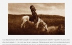 Conférence : "Le traitement des Native Americans" avec Wanda Mastor - CCU Spaziu Natale Luciani - Corti