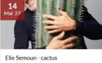 Spectacle d'Elie Semoun : Cactus - Salle rouge - Portivechju