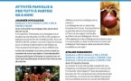 Activité en famille (pour tous à partir de 8 ans) Journée mycologie / Balade et observation scientifique au microscope - Casa di e Scenze - Bastia