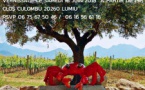 Exposition ECOSYSTEME