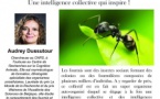 Agenda de conférences 2019 du Parc Galea