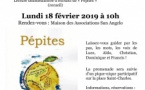 Promenade littéraire autour de notre recueil "Pépites"