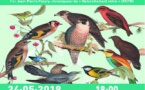 Conférence sur les oiseaux de Corse