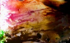 Exposition "Light loves colours" de Marc Ingoglia au Bastion de France