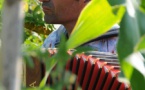 Conférence & Concert : Autonomie Alimentaire - Citadella da fà - Calvi
