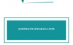 Acteurs culturels découvrez les mesures adoptées dans le secteur de la culture