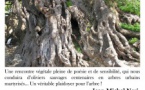 Les causeries champêtres : "Dans la peau d'un arbre..." par Jean-Michel Neri - Parc Galea - Taglio-Isolaccio