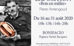 Exposition "Bois en Mêlée" par Pierre Armengaud  - Espace Saint-Jacques - Bonifacio