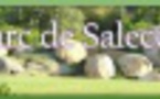 Programme des animations d'Août du Parc de Saleccia - Parc de Saleccia - Monticello 