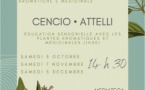 Atelier de découvertes des plantes aromatiques et médicinales - Médiathèque Barberine Duriani / Centre Culturel Alb'Oru - Bastia