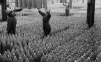Femmes en guerre / Atelier chorégraphique - Fabrique de Théâtre /Site Européen de Création - Bastia