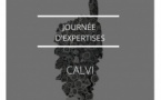 Journées d’expertises à Calvi