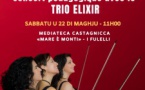 Concert pédagogique avec le Trio Elixir - Médiathèque de Castagniccia "Mare è Monti" - Folelli