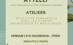 Attelli pedadogichi cù e piante aromatiche è medicinale - Médiathèque de Propriano