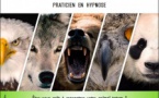 Conférence hypnose par Brice Guyon - Spaziu Culturali Locu Teatrale - Ajaccio