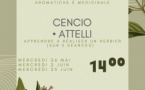 Atelier "Création d'un Herbier" - Médiathèque Barberine Duriani - Bastia