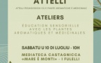 Attelli pedadogichi cù e piante aromatiche è medicinale - Médiathèque de Castagniccia - Folelli
