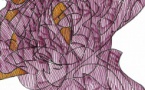 Exposition de Vincent Milleliri - Galerie aux Arts, etc - Ajaccio