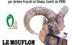 Conférence / Débat : "Le Mouflon, symbole de la montagne Corse, des origines à nos jours" - Jardin du foyer de Gualdaricciu