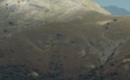 Projection des films du Creatacc 2020 - Cinéma L'Alba - Corte 
