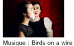 Birds on a wire en concert - Espace Diamant - Ajaccio