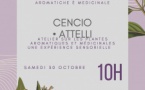 Atelier de découverte des plantes aromatiques et médicinales - Médiathèque Barberine Duriani - Bastia