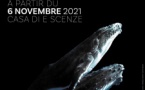 Exposition « Le Biomimétisme et la Mer : quandu u geniu di u vivu face nasce l’innuvazione » - Casa di e Scenze - Bastia