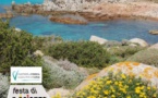 Fête de la Science 2021 / Conférence sur les plantes endémiques animée par Angélique Quilichini - Médiathèque des Cannes - Ajaccio