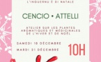 Atelier autour des plantes aromatiques et médicinales - Médiathèque Barberine Duriani - Bastia