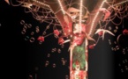 Création "Dans mon beau jardin" par la Cie Spirito - Centre Culturel Alb'Oru - Bastia