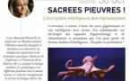 Conférence "Sacrées pieuvres ! : L'incroyable intelligence des céphalopodes" par Laure Bonnaud-Ponticelli - Parc Galea - Taglio-Isolaccio
