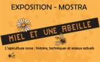 Exposition "Miel et une abeille"  - Musée de l'Alta Rocca - Levie 