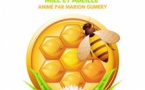 Atelier :  «Miel et abeille » animé par Marion Gumery - Bibliothèque de Bocognano