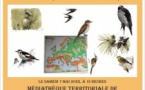 Conférence "Les Oiseaux de Corse: un voyage historique sous le prisme génétique" animé par Jean-Claude Thibault - Médiathèque de Castagniccia "Mare è Monti" - Folelli