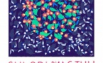 1ère édition de « Culori di Maghju : Rencontres cinématographiques autour des images et de la couleur - Sotta et au Complexe Galaxy (Lecci)
