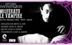 Cycle Histoires fantastiques / Projection du film "Nosferatu le vampire" de Bram Stoker - Cinéma Ellipse - Ajaccio  