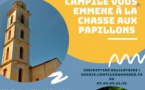 Campile vous emmène à la découverte des papillons !