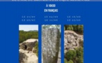 Visite guidée des sites archéologiques de Cuccuruzzu-Capula par un guide-conférencier 